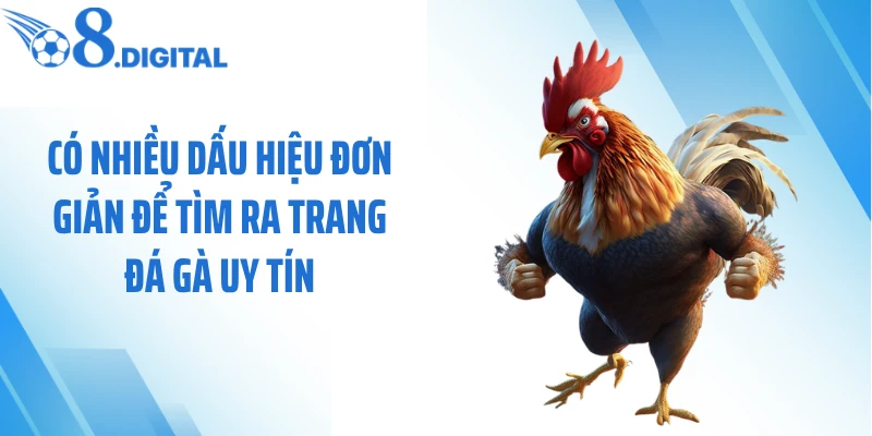 Có nhiều dấu hiệu đơn giản để tìm ra trang đá gà uy tín