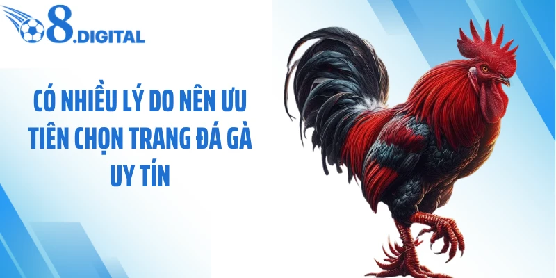 Có nhiều lý do nên ưu tiên chọn trang đá gà uy tín