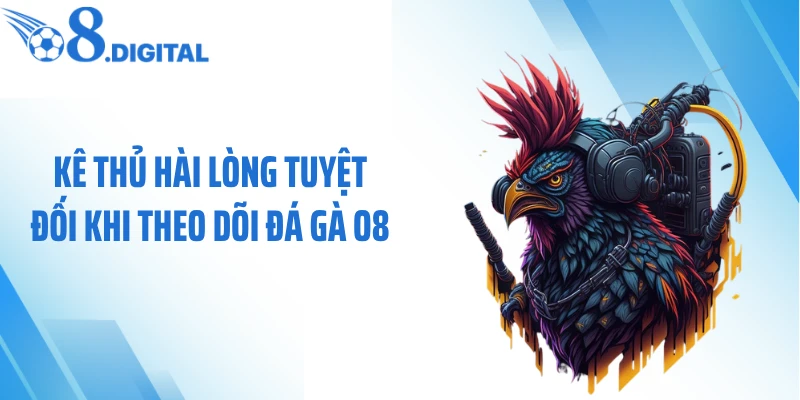 Kê thủ hài lòng tuyệt đối khi theo dõi đá gà O8