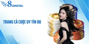 Trang Cá Cược Uy Tín O8: Chuẩn Mực Mới Của Giải Trí Số