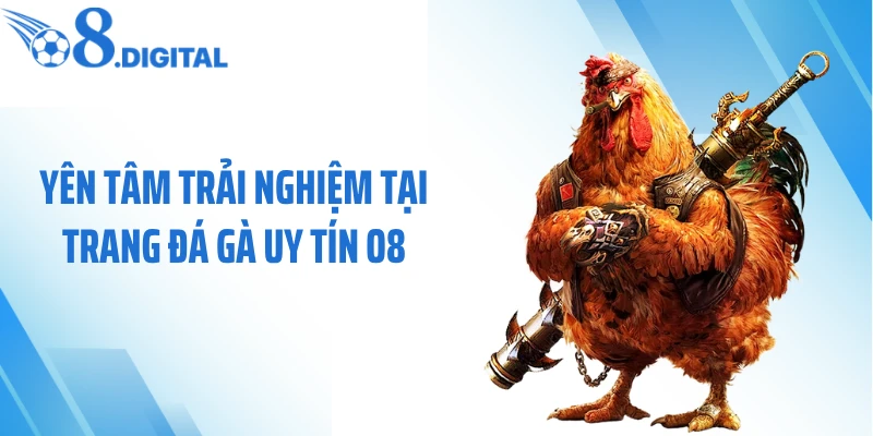 Yên tâm trải nghiệm tại trang đá gà uy tín O8